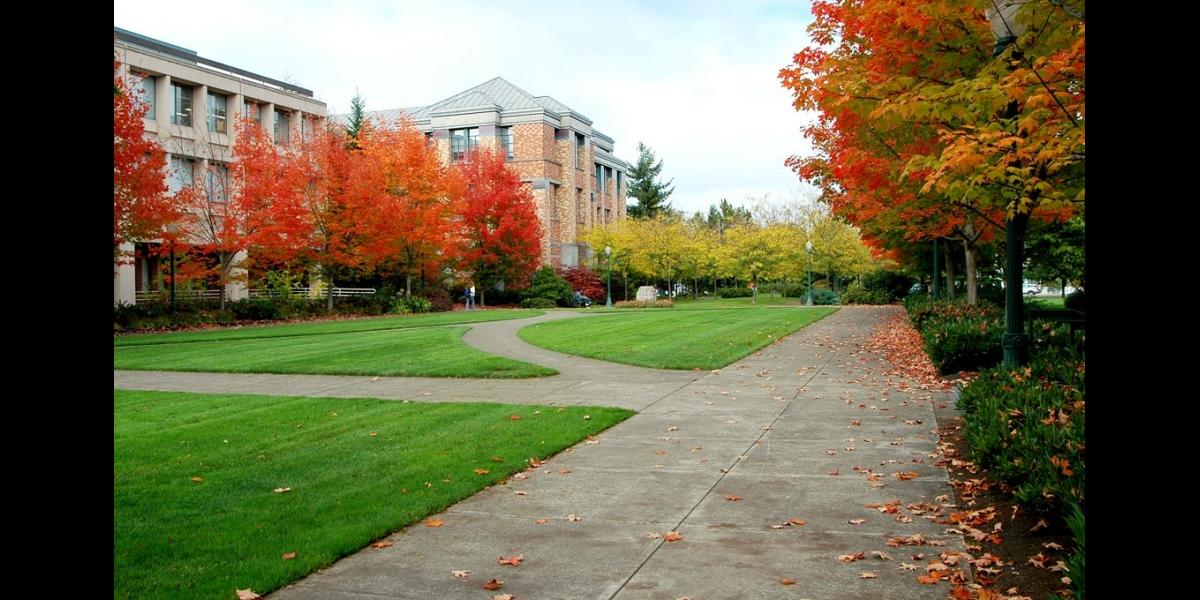 Campus Fall