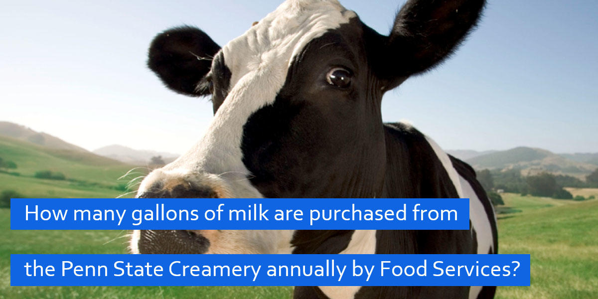 How many gallons of milk are purchased from the Penn State Creamery annually by Food Services? Fun Facts cow