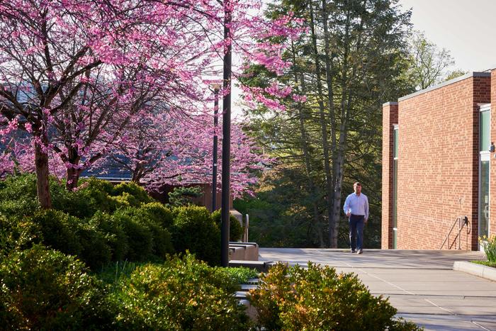 Man walking on campus sidewalk with cherry blossom trees in background
